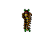 Centipede